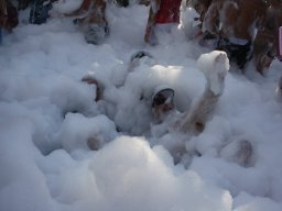 XVII Concentracion - 2010